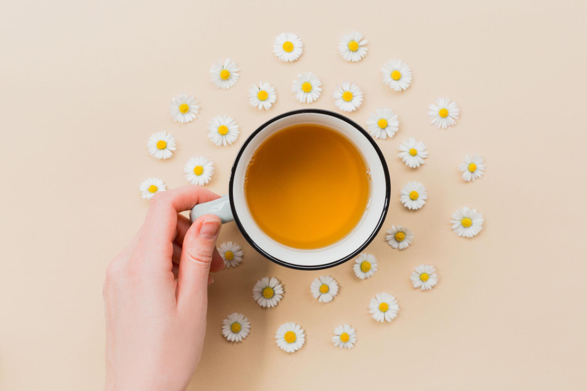 The Healing Power of Herbal Remedies